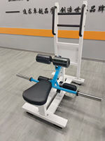 Machine à Squats à Ceinture DINUO Glute Series à Charge de Plaques, Équipement Commercial de Gymnastique pour le Développement des Muscles de la Chaîne Postérieure, des Hanches et des Cuisses