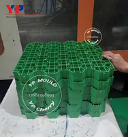 Moule de pavage en plastique injecté sur mesure pour allée en gazon poreux, fabriqué en Chine