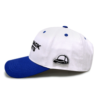 Casquettes de baseball color block en sergé 6 panneaux style urbain avec visière courbée, broderie plate personnalisée et patch latéral pour cadeaux d'équipe, casquettes de sport