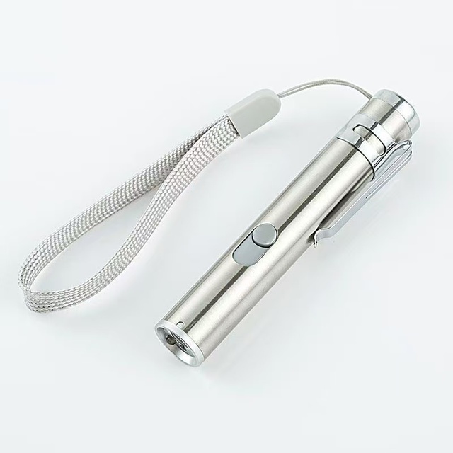 Interactive LED Light USB Cat Dog Training Pet Laser Pointer Promotional Pet Product Teaser Wand Toy
