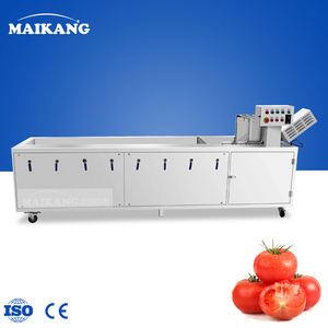 Machine de lavage alimentaire à l'ozone intégrée haut de gamme pour piments, haricots, fleurs comestibles – Équipement de production précis à haut rendement - Product Image 3