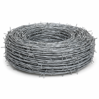 Fil de fer galvanisé à chaud, 2 brins, 4 points de fixation, clôture de ferme, protection du bétail, anti-rouille, fil à haute résistance en rouleau