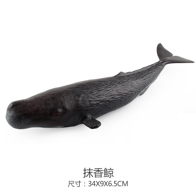 Sperm whale 0.191kg