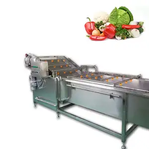 Commerciële Groentewasmachine Roterende Trommelwasmachine Voor Groenten Bladgroente Wasmachine