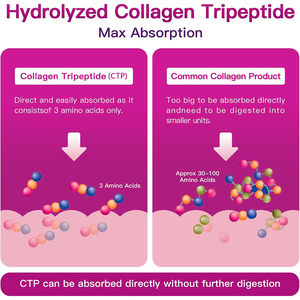 OEM/ODM High <b>protein</b> content provides muscles with energy support metabolism skin whitening beauty collagen peptide powder - Product Image 2