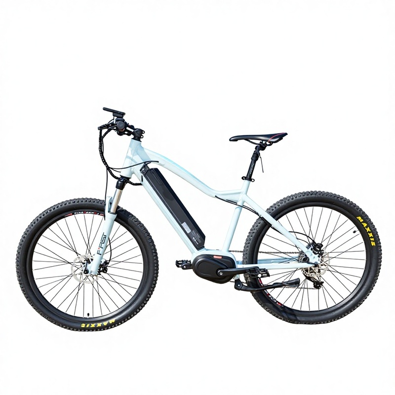 High Quality 48V Lithium Bafang Rear