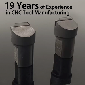 Fresa de Diamante MCD Personalizada para Pulido de Acrílico, Herramienta de Corte de Diamante Monocristalino, Herramienta de Pulido MCD, Herramienta de Diamante Monocristalino - Product Image 2