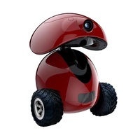 Moniteur pour animaux de compagnie certifié chien intelligent jouet de luxe dessin animé réaliste automatique Vision nocturne Robot fonction écologique en plastique métal