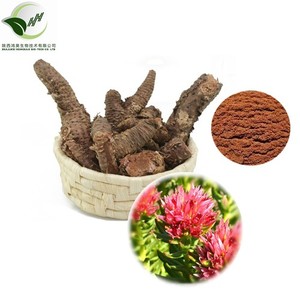 Herb Root Rhodiola <strong>Rosea</strong> <strong>Extract</strong> Red Powder Health Care Products 3% Salidroside - Product Image 6