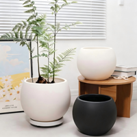 Pot de fleurs sphérique en résine de luxe, design créatif, avec base épaissie et plateau mobile, résistant à la corrosion, pour salon