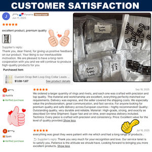 Accastillage en laiton massif, crochet universel tactique à dégagement rapide, rotatif, à ressort, œillet pivotant fixe, mousqueton solide, porte-clés - Product Image 6