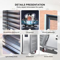 Armoire de Fermentation Commerciale Kolice 10 Plateaux 23.62x15.75 Pouces, Équipement de Boulangerie en Acier Inoxydable