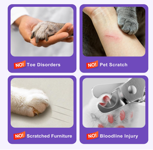 글로벌 베스트셀러 2026 업그레이드 무소음 애완동물 발톱 그라인더 트리머 2 LED 라이트 USB 충전식 3단 속도 전기 강아지 고양이용 - Product Image 2