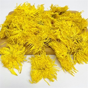 Té de crisantemo dorado seco Natural puro Sabor original Té de flores Beneficios para la salud Precio al por mayor Dendranthema <span class=keywords><strong>Morifolium</strong></span> - Product Image 3