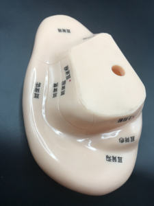 Enseñanza médica acupuntura oreja modelo imagen PVC Material inteligente estimulante manipulación enseñanza acupuntura herramienta - Product Image 5