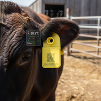 Traceur d'oreille intelligent pour bétail 2KM LoraWAN AU915EU868CN470 avec capteur de température et compteur de pas pour l'élevage