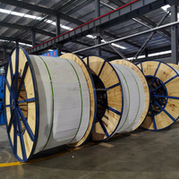 0,6/1kV 25 35 50 120 150 240 300 MM2 Al-Leiter XLPE-isoliertes und HFFR-ummanteltes ARG16R16-einadriges Aluminium-Stromkabel