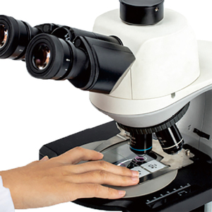BestScope-Microscopio biológico trinocular con sistema óptico <span class=keywords><strong>infinito</strong></span> para universidades o laboratorios de biomedicina - Product Image 3