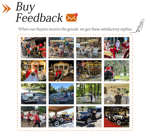 Chariot d'entraînement équestre populaire pour chevaux de tourisme, violet, à quatre roues - Product Image 6