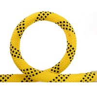 Corde d'escalade de haute qualité 10mm x 10m pour la protection de randonnée de travail de sauvetage