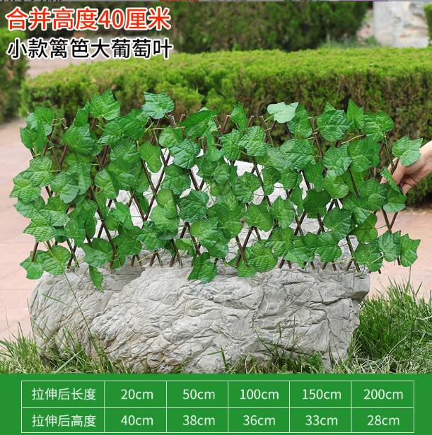 #5-40cm grande feuille