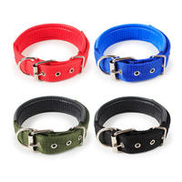 Collier pour chien rembourré confortable et doux, 6 couleurs, réglable, en nylon durable, avec anneau en D et boucle en métal