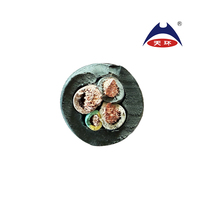 Câble souple submersible à basse tension JHS IEC 60228 à plusieurs conducteurs, gainé de caoutchouc, étanche, 2,5 mm, 4 mm, 6 mm, 10 mm, 16 mm