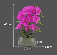 Fleurs de Table Artificielles en Pot Vraie Touche Papillon Orchidée Pot en Céramique Home Office Décoration de Table en Pot Phalaenopsis