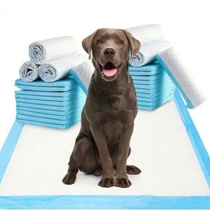 Tapis d'apprentissage jetables pour chiens et chats, ultra-absorbants et anti-fuites, pour usage côtier - Product Image 1