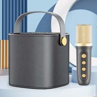 Caisson de basses de cinéma familial Portable en plein air, haut-parleur de karaoké puissant avec Microphone, haut-parleurs de karaoké sans fil bluetooth