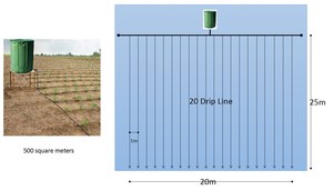 Amazing Overground 500SQM Farm Automatic Plant Growing Riego Kit Granja agrícola <span class=keywords><strong>Sistema</strong></span> <span class=keywords><strong>de</strong></span> riego por <span class=keywords><strong>goteo</strong></span> 1000m2 - Product Image 5