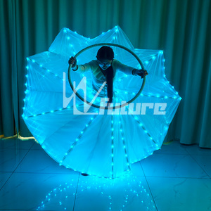 Jupe de danse lumineuse à LED - Lumières colorées rechargeables réglables pour la danse du ventre, les spectacles sur scène, les festivals et les fêtes - Product Image 2