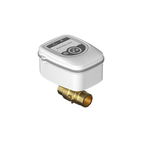Válvula de Agua Inteligente Zigbee 3.0 NAS-WV11B N20 N15 N25 40 Bar con Detección de Fugas, Latón, Automatización del Hogar, Batería Recargable 18650, IP65