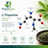 Poudre de L-Théanine 99% Pure, Acide Aminé, Extrait de Thé Vert, Matière Première, Qualité Alimentaire, Conditionnement en Bouteille