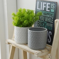 Planteur de cylindre en céramique blanche en gros d'usine petit kit de plante d'intérieur pour le jardinage vertical de bureau à domicile utilisé pour les succulentes