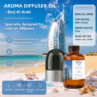 Huile parfumée pour hôtel de luxe, arôme floral, boisé, agrumes, diffuseur d'huiles essentielles, OEM ODM, parfum personnalisé