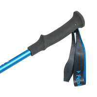 Bâtons de randonnée HOFI OEM Factory Dual Lock antidérapants en fibre de carbone pour la saison des pluies, la randonnée en montagne et les sentiers mouillés