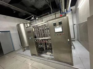 250lph SS304 giá tốt nhất Hot Bán hai giai đoạn vượt qua RO thẩm thấu ngược nhà máy xử lý nước - Product Image 6