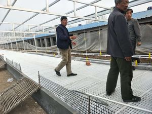 PH nouveau blanc 600*500mm 1200*500mm plancher de fuite de volaille pour ferme avicole - Product Image 3