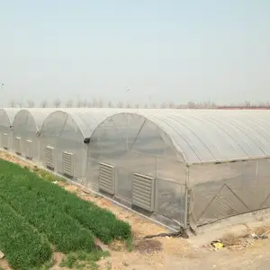 חקלאי Multispan פלסטיק סרט חממה עבור גידול ירקות