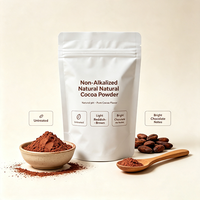 Fournisseur de poudre de cacao brute OEM, poudre de cacao naturelle