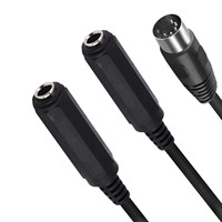 MIDI 5Pin mâle vers double DC 6.35mm 1/4 "TS/TRS femelle adaptateur DIN5P câble Audio appareils stéréo avec connecteurs Din 5 1m