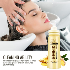 Shampoo anti-chute de cheveux à base de plantes, 100% naturel et biologique, infusé au gingembre, pour femmes et hommes - Product Image 3
