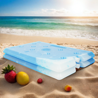 Sac isotherme réutilisable en plastique PCM (matériau à changement de phase) pour le stockage de médicaments, glacière, boîte à glace, brique de glace