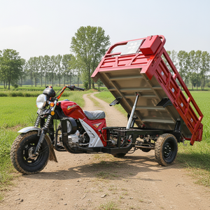 Tricycle à marchandises pour adultes à trois roues à essence à benne basculante motorisé avec cabine ouverte, vente chaude - Product Image 2