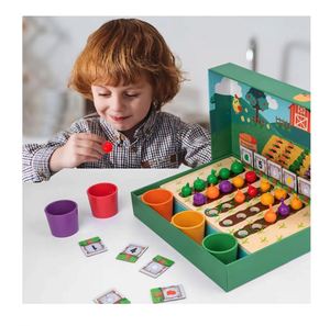 Jeu de plantation de légumes Montessori, marché de la ferme, tri des couleurs, jouet en bois écologique pour enfants de 2 à 4 ans et de 5 à 7 ans - Product Image 1