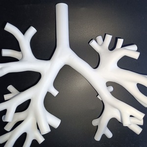 Kyrenmed <span class=keywords><strong>3D</strong></span> xơ phế quản mô hình với khay Kích thước cuộc sống nhựa cấp bốn bronchus <span class=keywords><strong>Simulator</strong></span> cho bronchoscopy đào tạo mô hình - Product Image 4