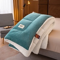 Couette HongYa moderne 100% polyester écologique antibactérienne quatre saisons - Portable pour la maison et les voyages