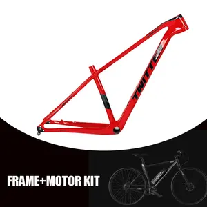 Custom OEM 20 26 29 Alloy Steel Aluminium Mountain Gravel Full Suspension E Carbon Road Bike Frame 29er