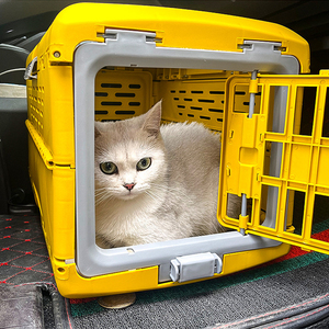 Caisse pour animaux de compagnie durable jaune bleu résistant à l'eau boîte pour chien en plastique chat transporteur à l'extérieur - Product Image 4